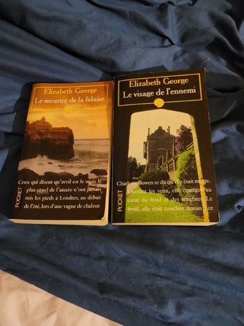 Livres Élisabeth George