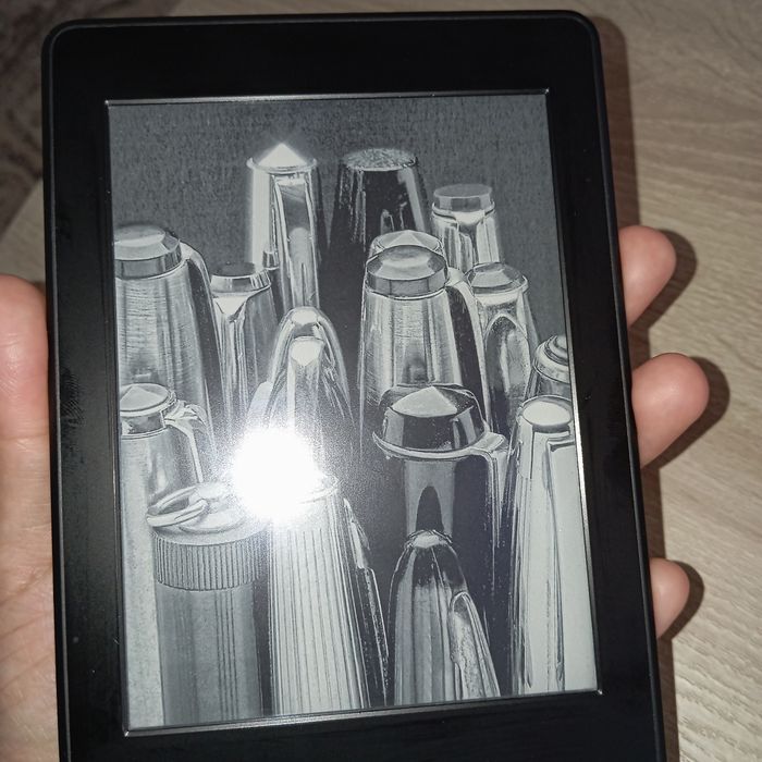Kindle paperwhite 6eme génération - photo numéro 6