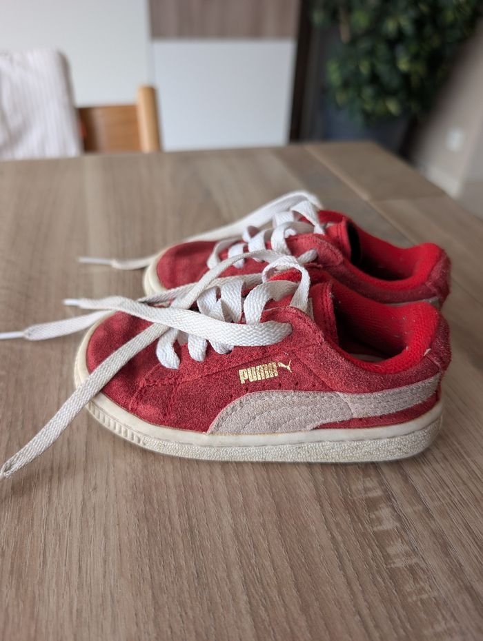 Puma bébé 21 - photo numéro 3