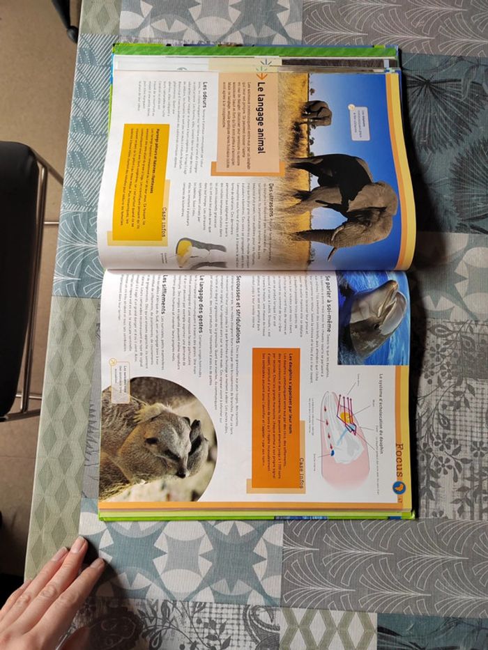 Livre Savoir actuel- Les animaux du monde - photo numéro 7