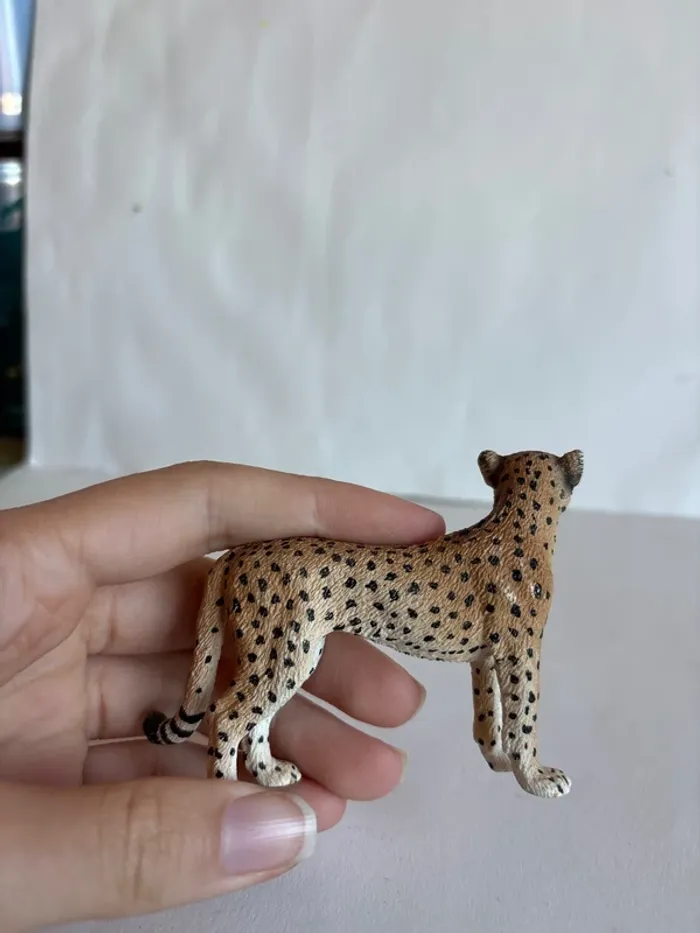 Guépard Schleich - photo numéro 5