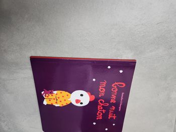 Livre souple enfant : Bonne nuit mon chaton