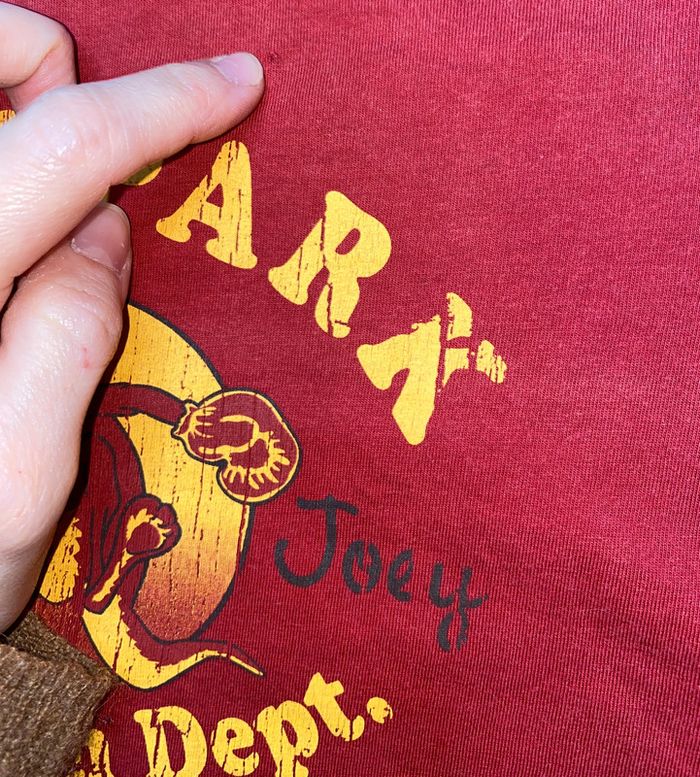 tshirt Eden Park porté, un petit trou recousu 6 ans - photo numéro 3