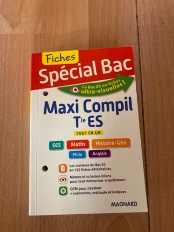 Livre T ES tout en un