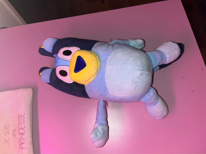 Famille bluey - photo numéro 4