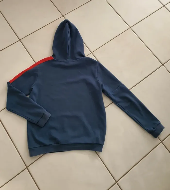 Sweet / pull garçon 👦 14 ans en excellent état Le coq sportif - photo numéro 2