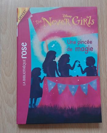 Livre the Nevers girls