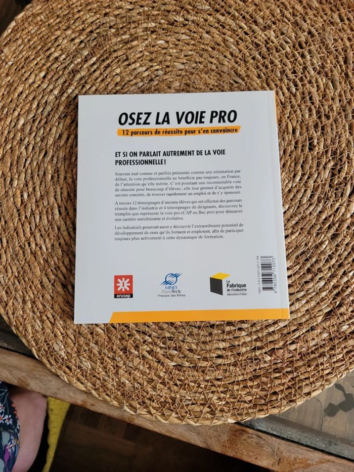 Osez la voie pro. 12 parcours de réussite - photo numéro 4