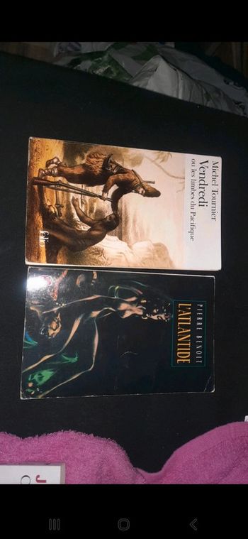 Lot de 2 livres ecole