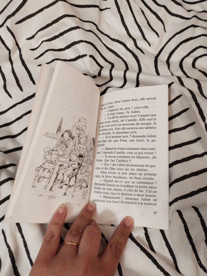 Livre Brutus superchampion - photo numéro 3