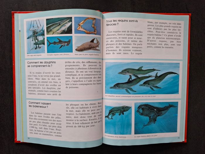 Lot de 2 livres questions/réponses sur les animaux en bon état - photo numéro 5
