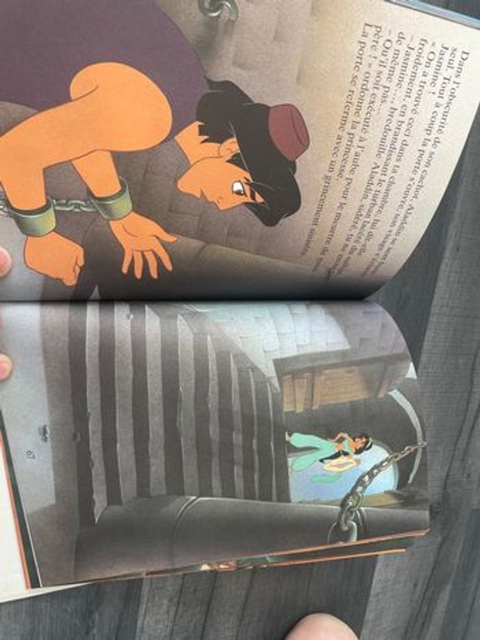 Lot  de 2 Livres  enfant - photo numéro 10