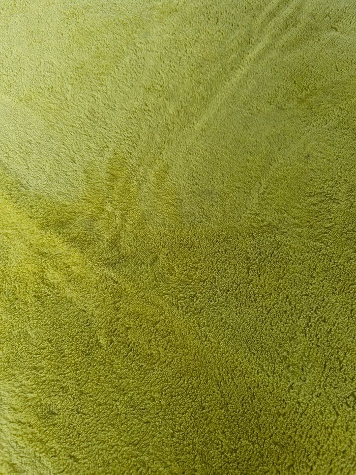 Tapis - photo numéro 2