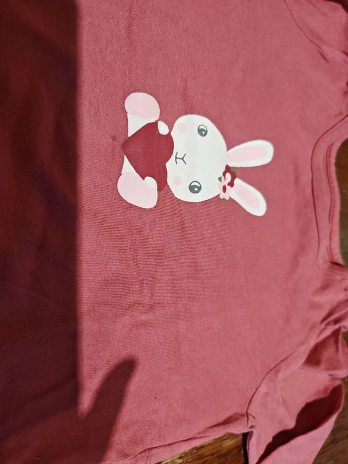 T shirt lapin fille - taille 24 Mois - FPC - photo numéro 2