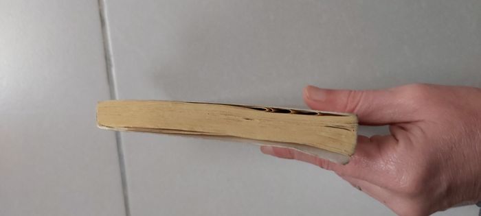 L'appel de la forêt - photo numéro 5