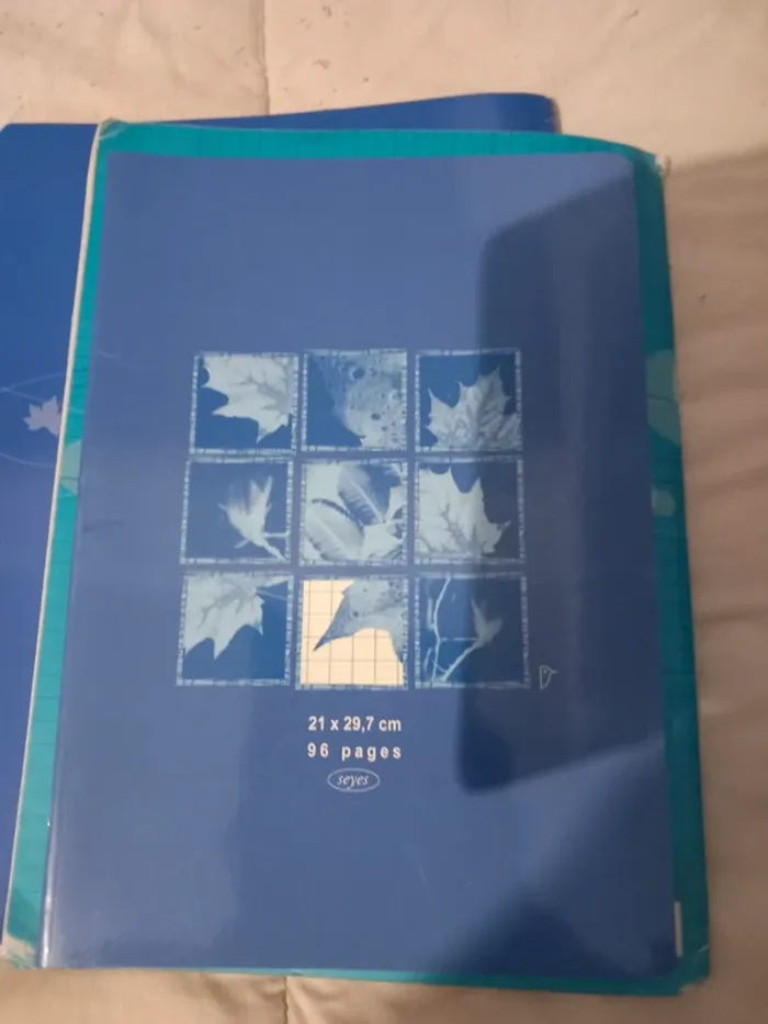 Cahier 96 pages grands carreaux 21x29,7