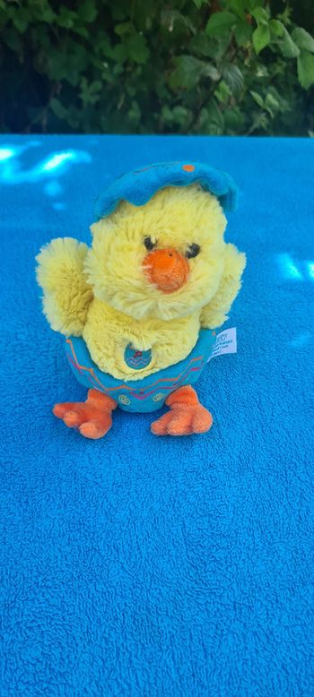 petit poussin dans son œuf