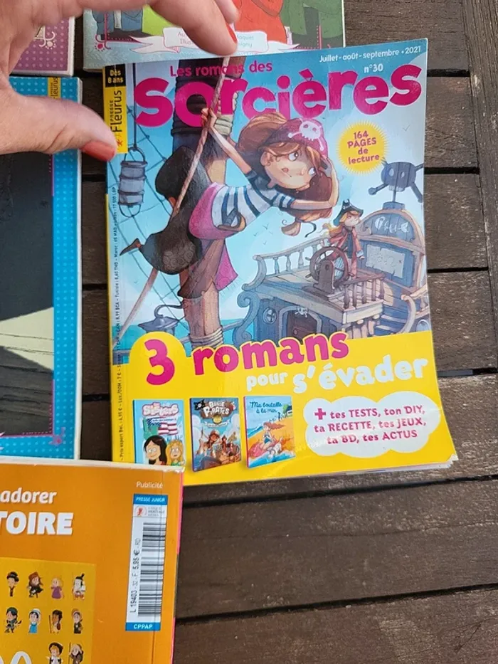 Les romans des sorcières. - photo numéro 8
