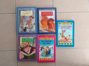 Lot livres disney les classiques