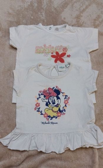 Lot 2 tee-shirts manches courtes bébé fille 18 mois