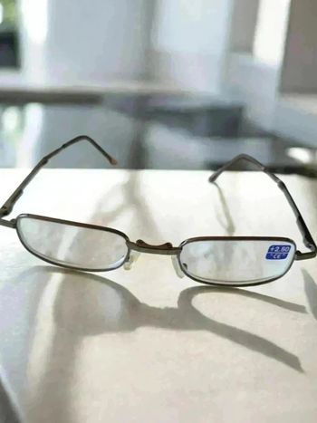Lunettes pour lire pliantes +2.5 bronze