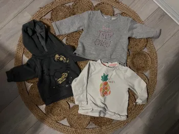 Lot x3 pulls fille 18 m