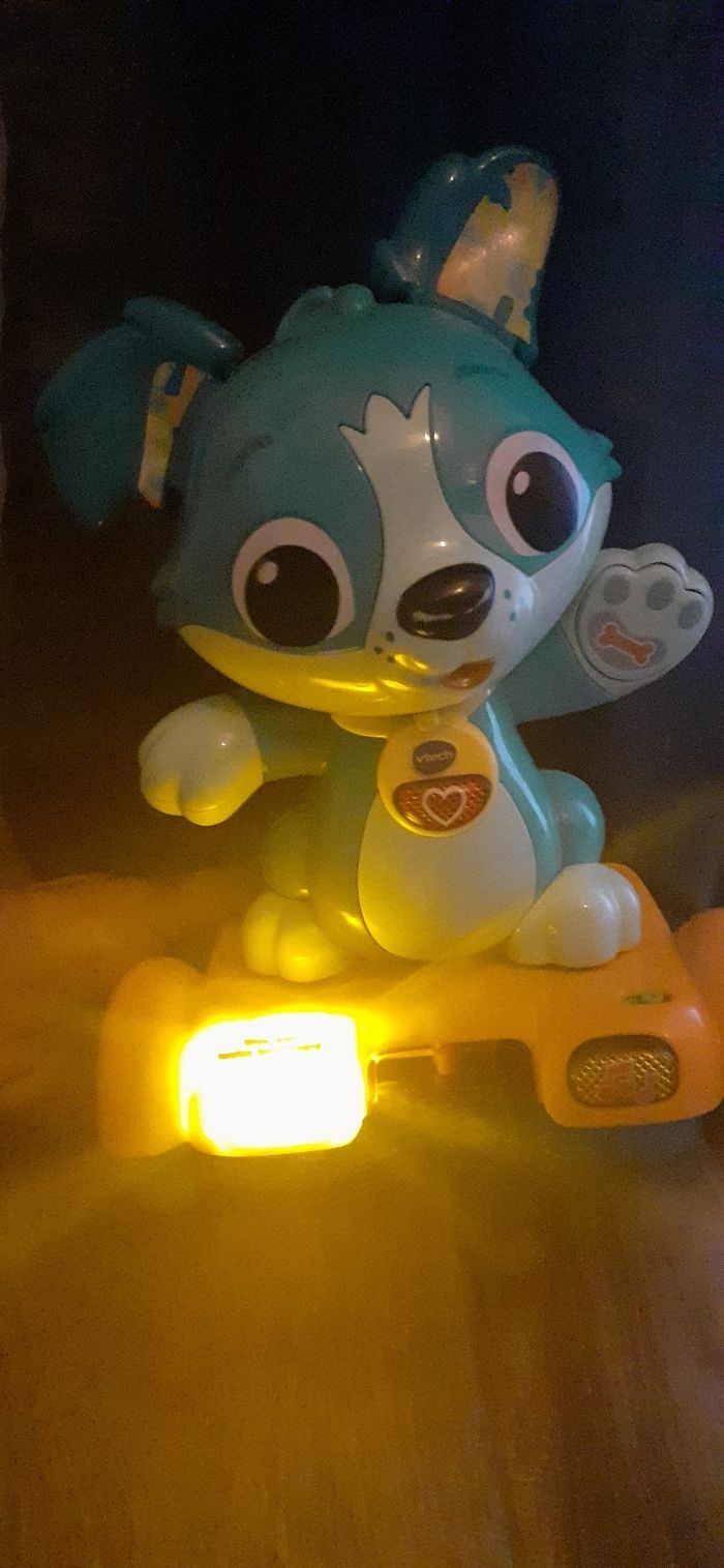 Titou mon toutou hoverboard - photo numéro 3