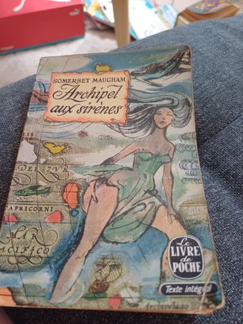 Livre L archipel aux sirènes