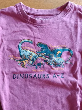 Teeshirt manches longues dino // Primark
