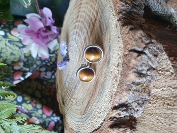 Boucles d'oreilles à clous - acier inoxydable et pierre œil de tigre