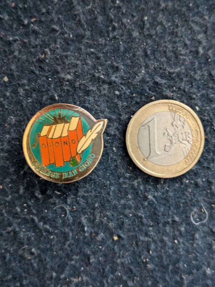 Pins collège Jean Giono - photo numéro 3