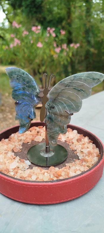 Papillon de l’Âme 🦋 Gardien des Mondes Subtils en Labradorite