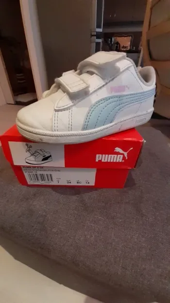 Basket puma