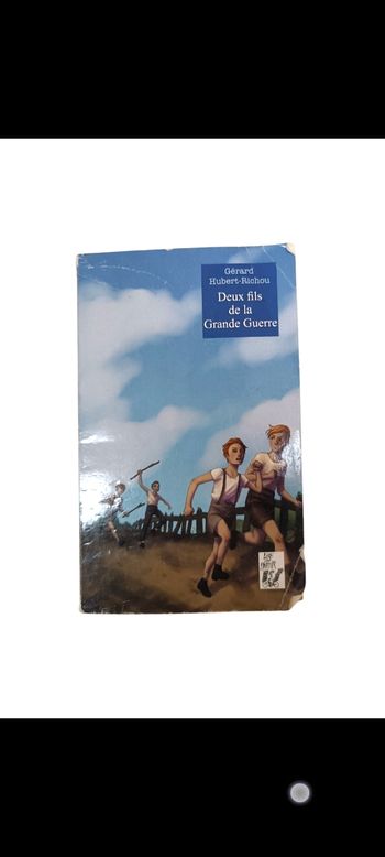 Livre deux fils de la grande guerre