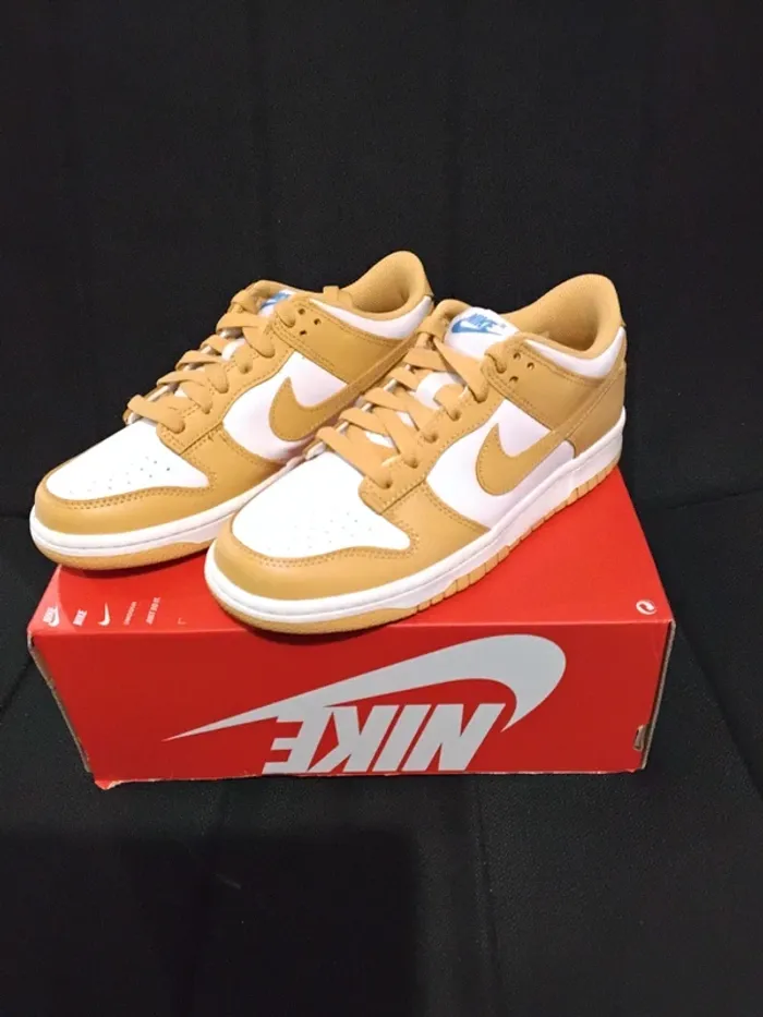 Baskets Nike Dunk