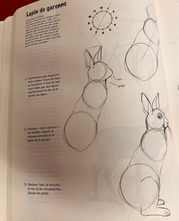 Dessiner pas à pas - photo numéro 6