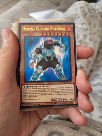 Bearman capitaine entraîneur