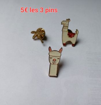 Lot pins