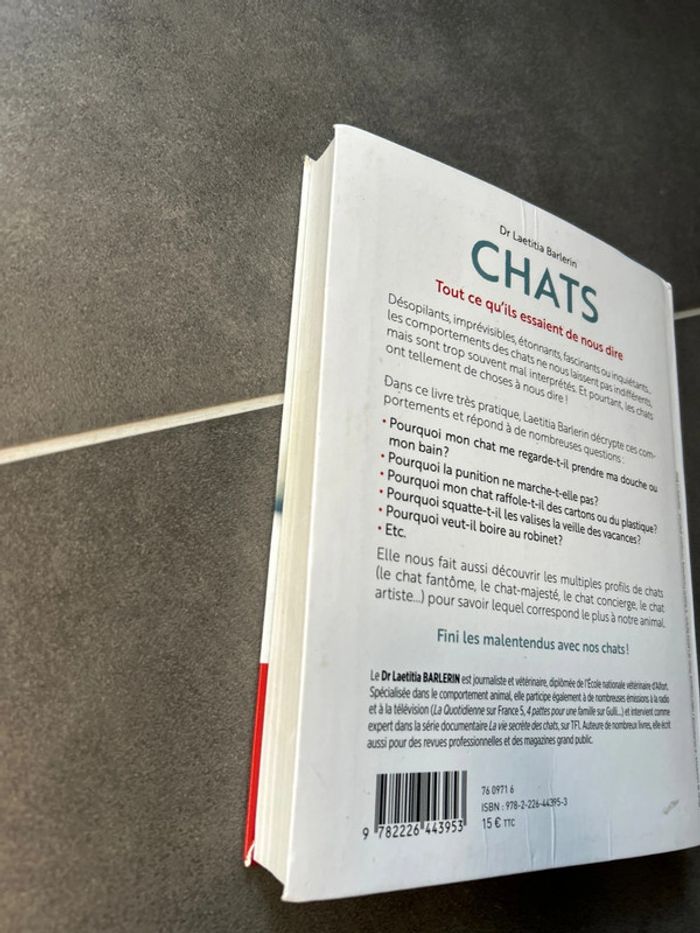 Chats - photo numéro 3
