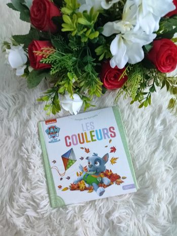 Imagier Les couleurs Pat Patrouille