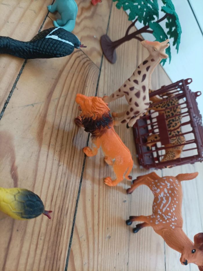 Lot animaux - photo numéro 5
