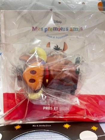 Livre Disney mes premiers amis sous blister