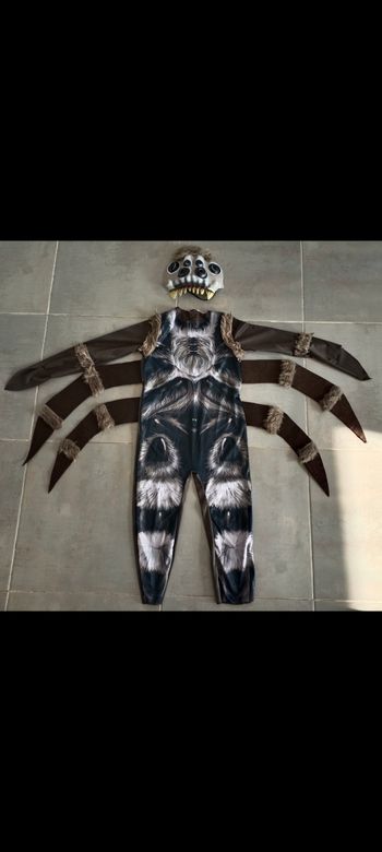 Déguisement d'araignée en 6 ans