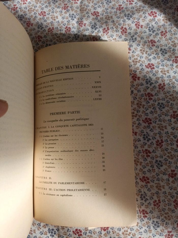 Le Socialisme contre l'Etat - photo numéro 7