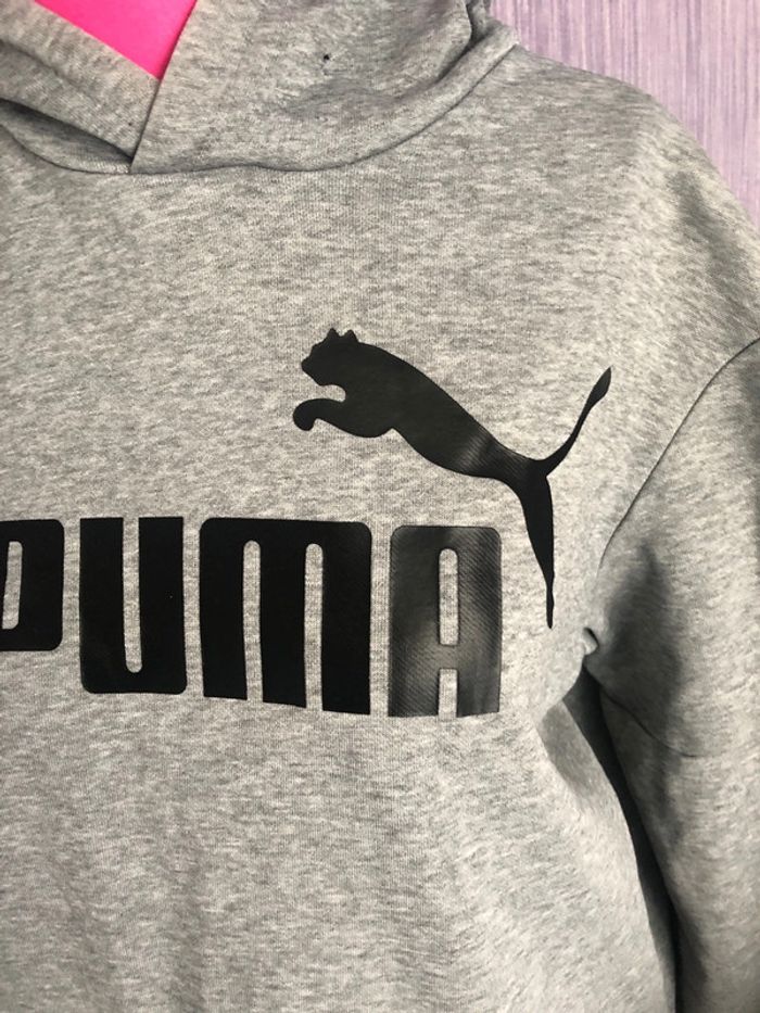 Pull puma - photo numéro 3
