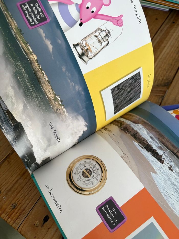 Lot de 2 livres imagerie - photo numéro 6
