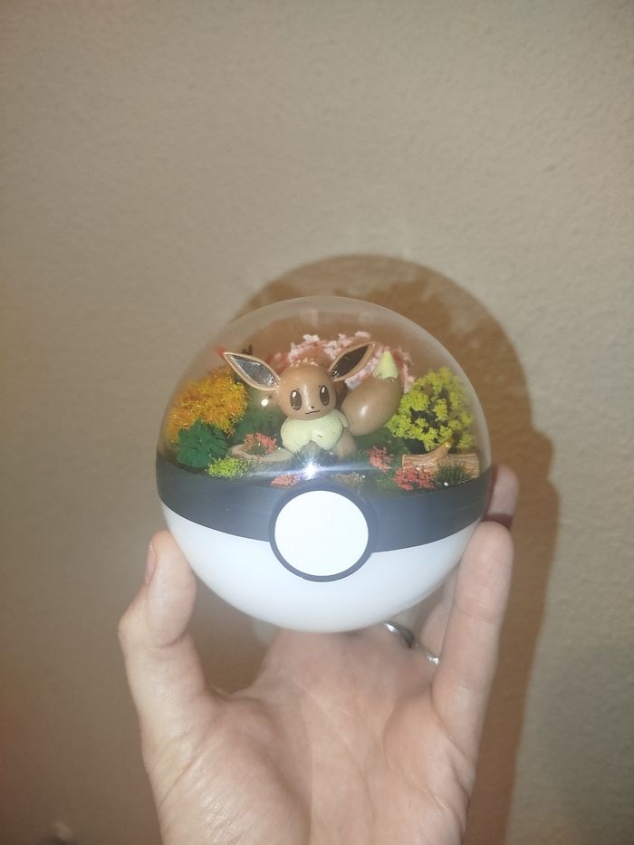 Pokéball Evoli - photo numéro 3