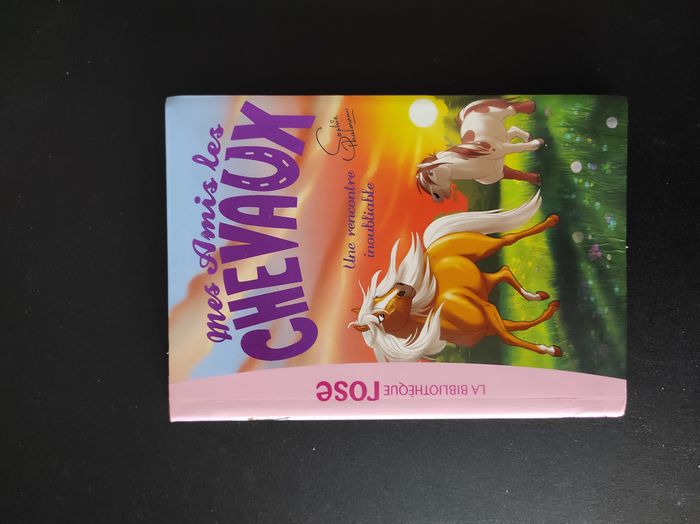 📘 Livre Mes amis les chevaux – Très bon état