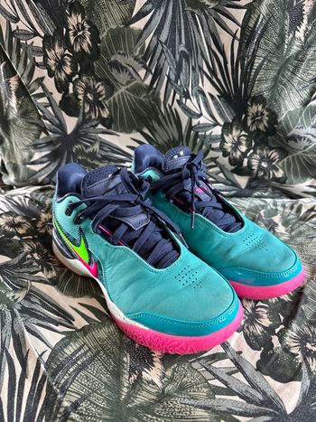 Basket Nike lebron James