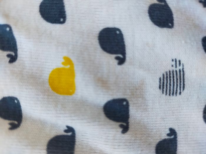 Bodies - photo numéro 2